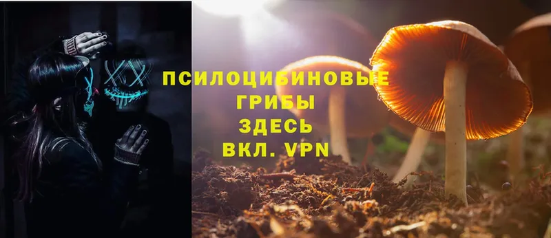 KRAKEN tor  Апрелевка  Псилоцибиновые грибы MAGIC MUSHROOMS  где продают наркотики 